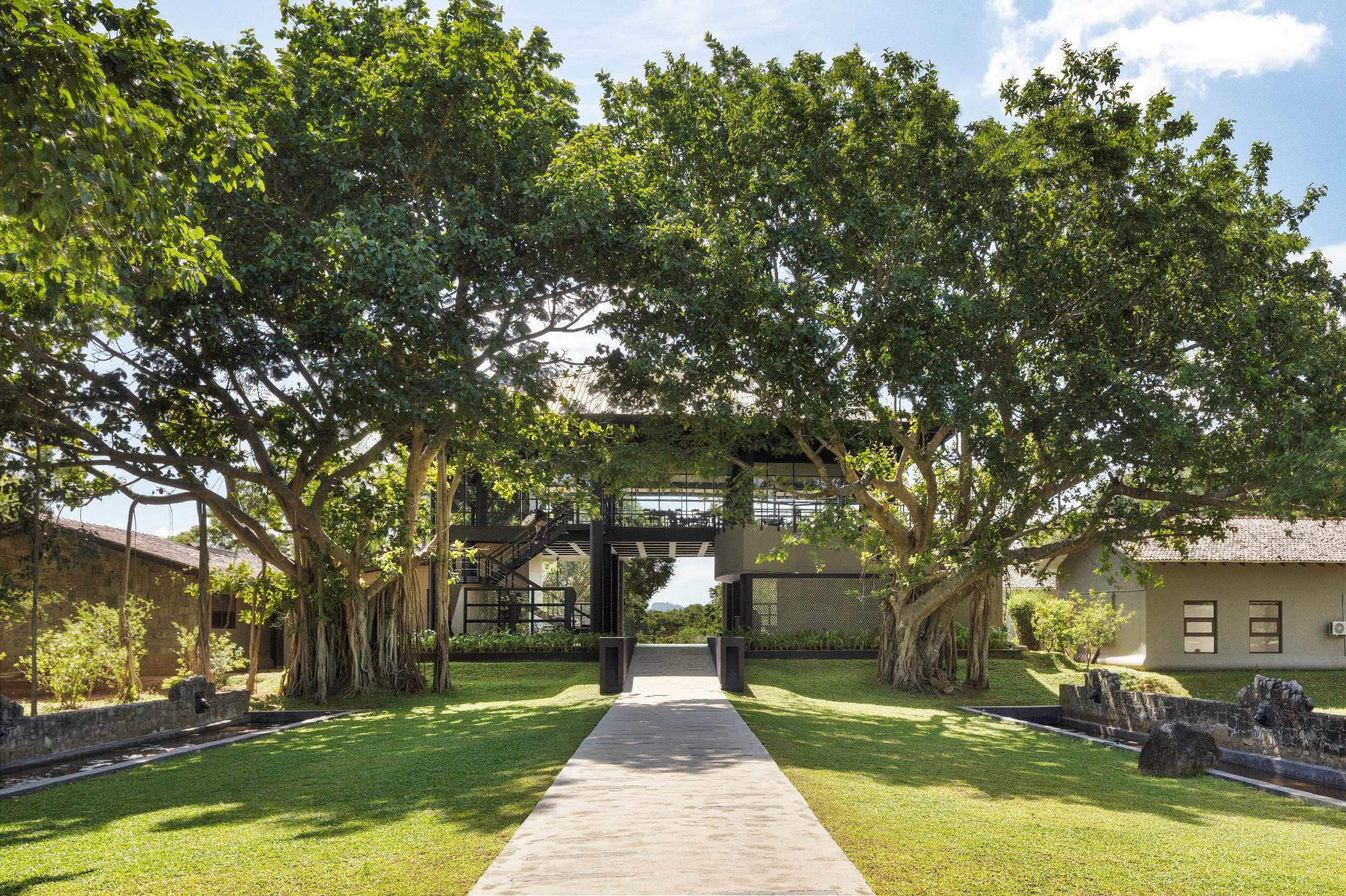 アユギリ アーユルヴェーダ ウェルネス リゾート シギリヤ 写真