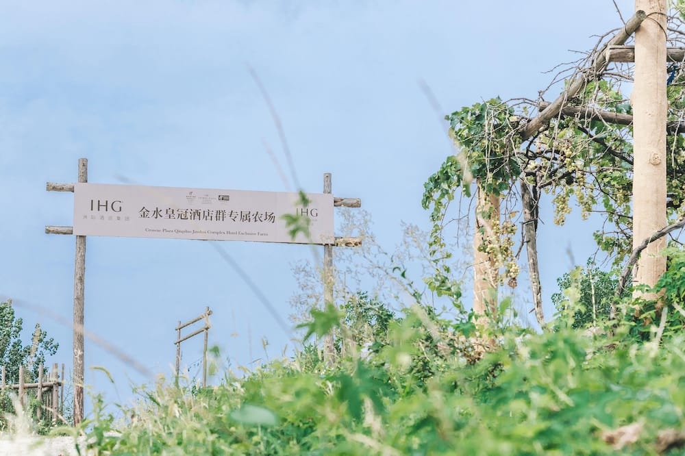 Crowne Plaza Qingdao Jinshui by IHG 写真