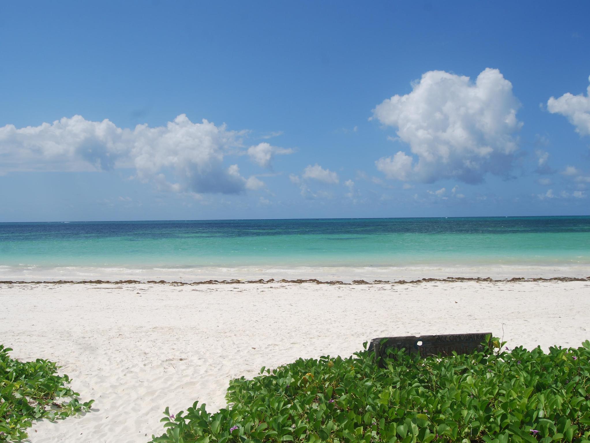 サハリ ザンジバル 写真