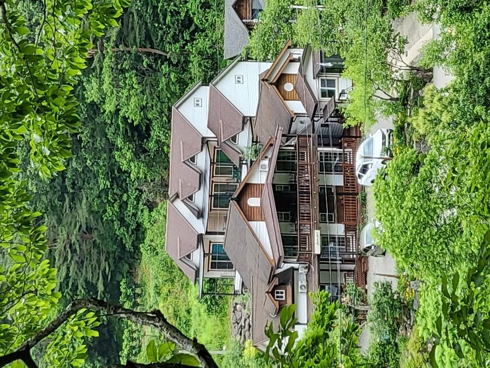 Yangyang Riverhill Pension 写真