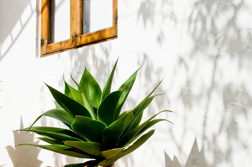Hotel Casona Usaquen 写真