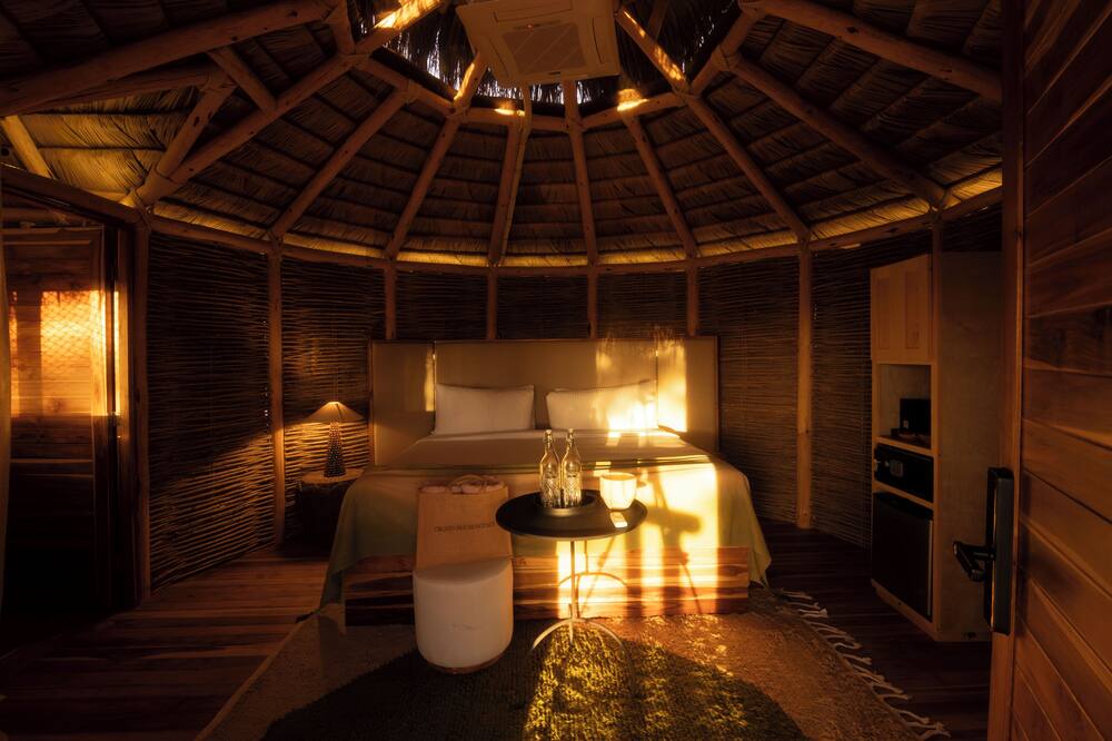 Orchid House Baja 写真