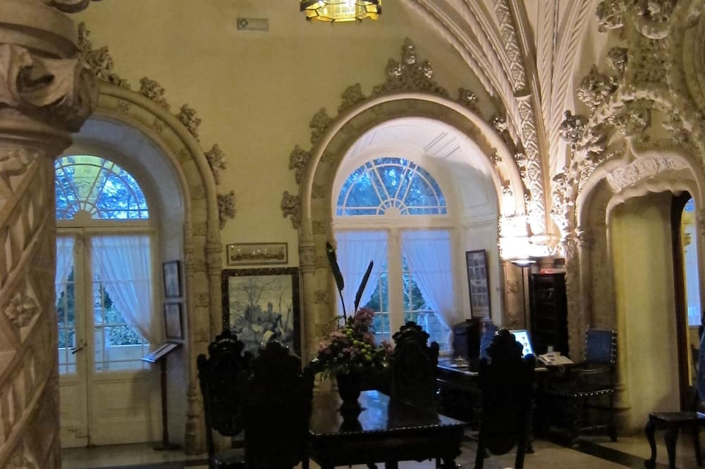 パレス ホテル ド ブサコ 写真