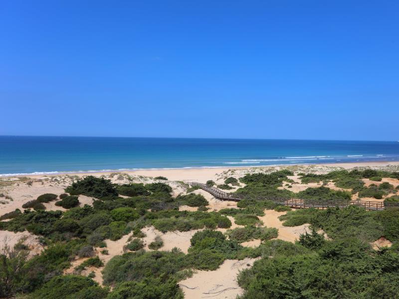 イベロスター セレクション アンダルシア プラヤ 写真