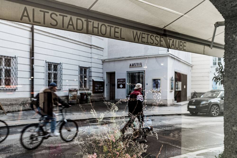Altstadthotel Weisse Taube 写真