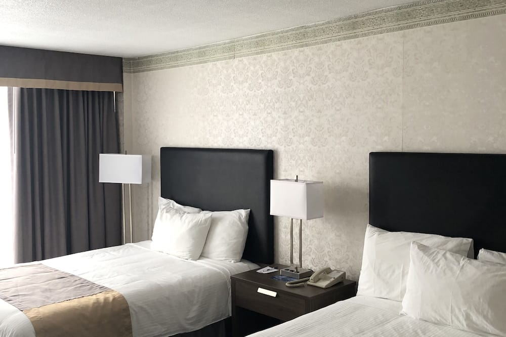 トラベロッジ ホテル ナイアガラ フォールズ フォールズビュー 写真