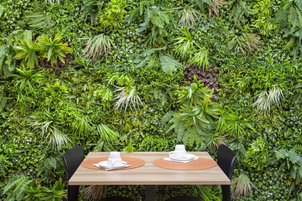 メイド  イン ファロ 写真