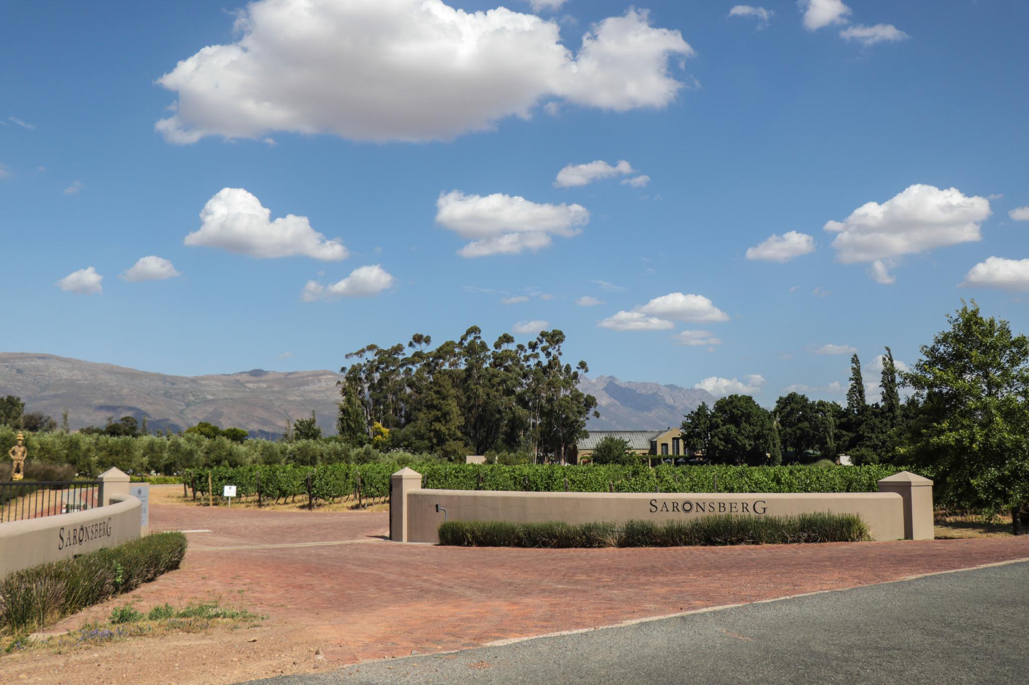 サロンズベルグ ワインヤード コテージズ 写真