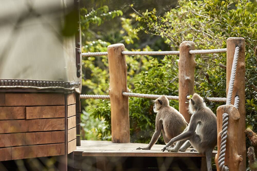 Wild Coast Tented Lodge - Relais and Chateaux - All Inclusive 写真