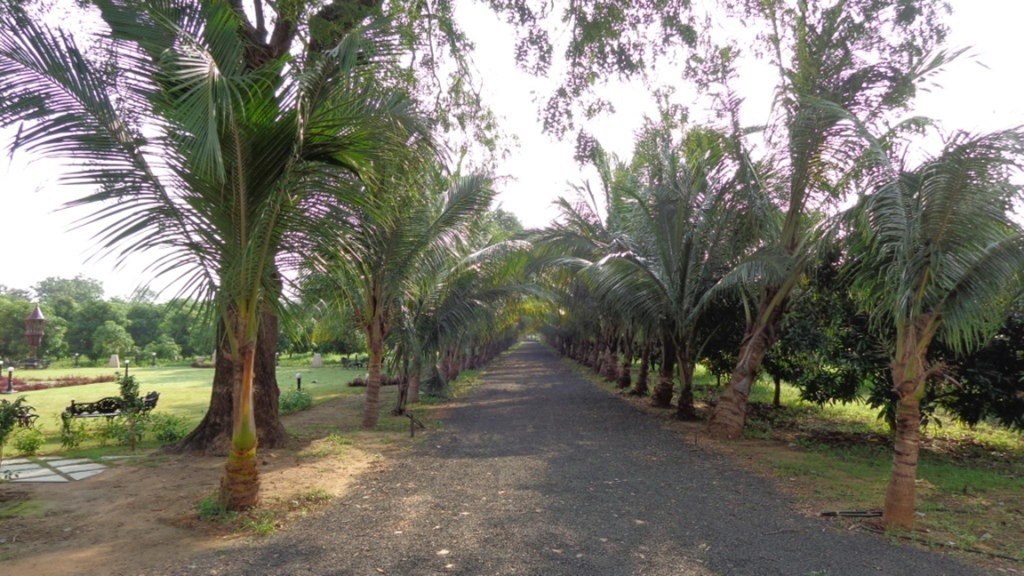 チャンパネール ヘリテージ リゾート 写真