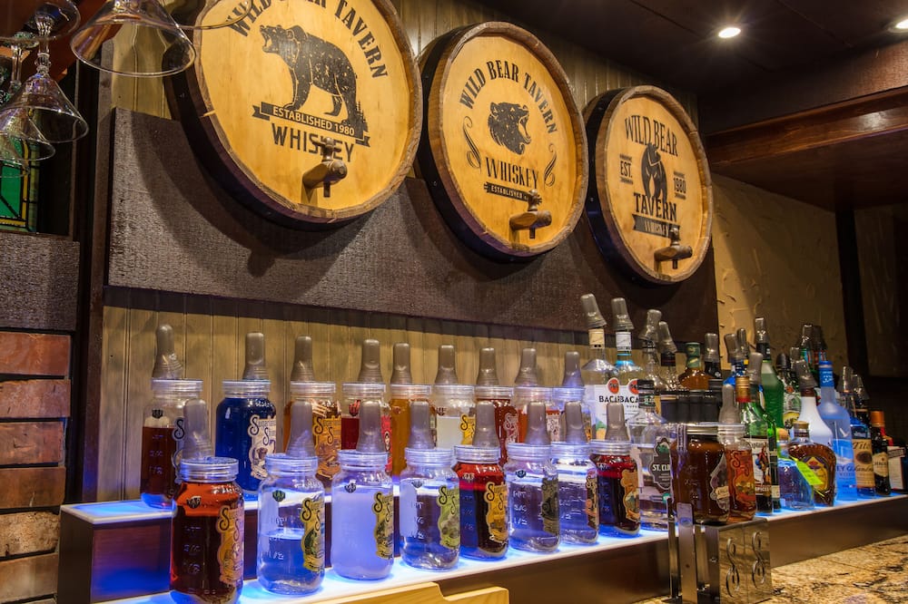 ワイルド ベア イン 写真