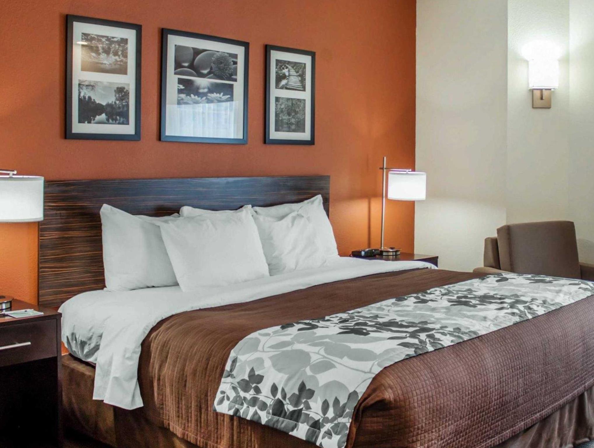 スリープ イン ノース チャールストン アシュリー フォスフェイト 写真