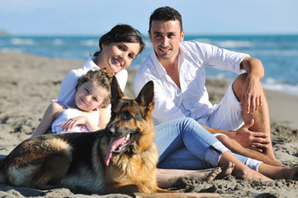 Casa Del Mar Inn 写真