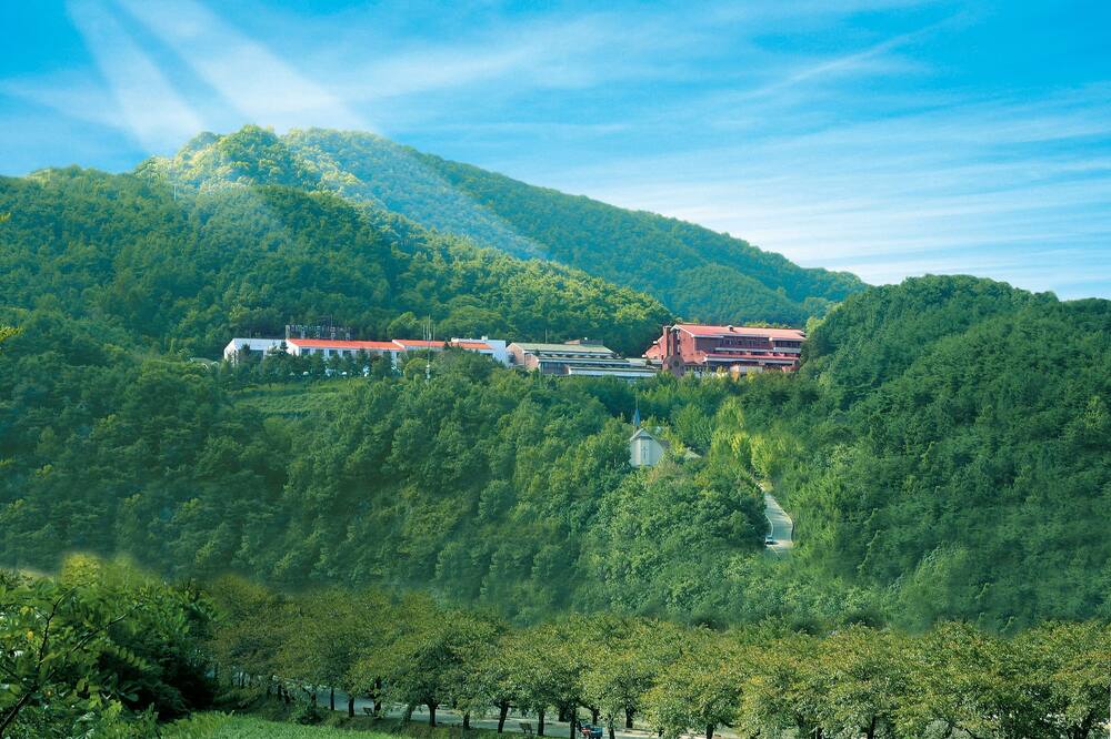 チュンジュ スアンボパーク ホテル 写真