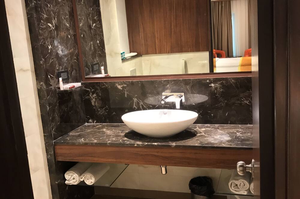 ホテル サザン ニューデリー 写真