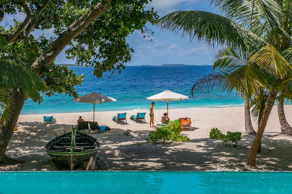 キハ ビーチ 写真