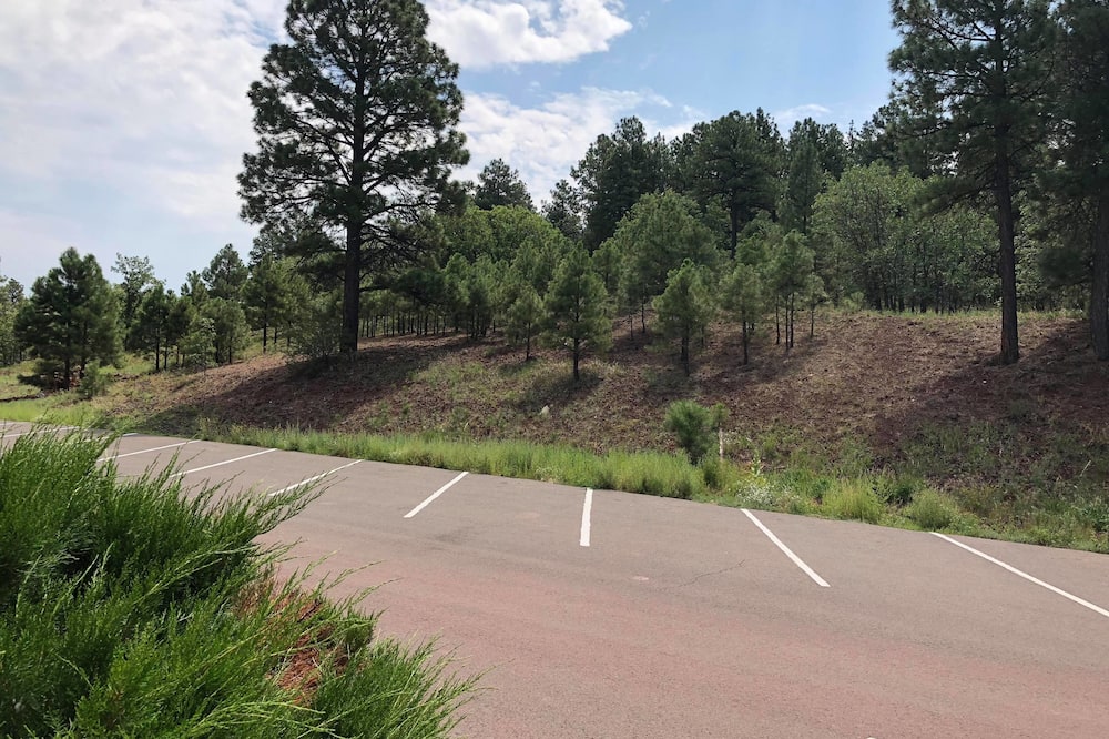 デイズ イン バイ ウィンダム ウィリアムズ 写真