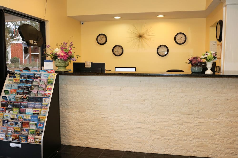 シャイニング ライト イン & スイーツ 写真