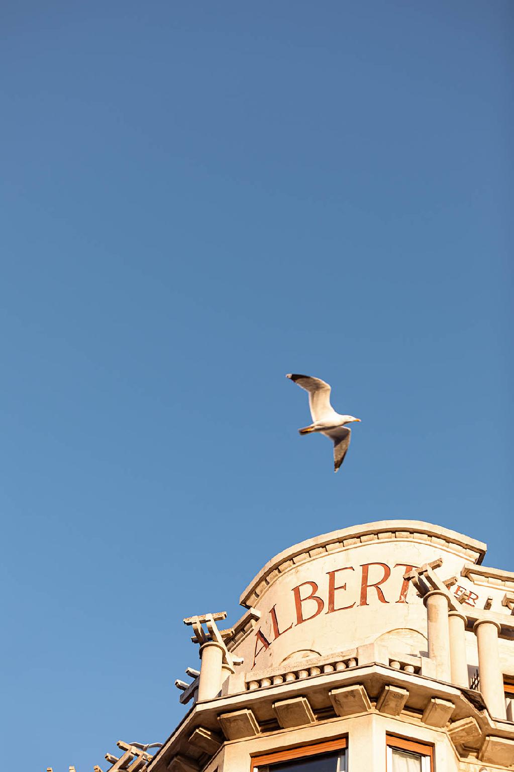 オテル アルベール プルミエ ニース 写真