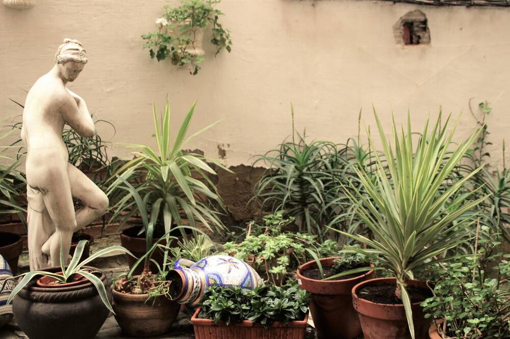 バイピロー イララ 写真