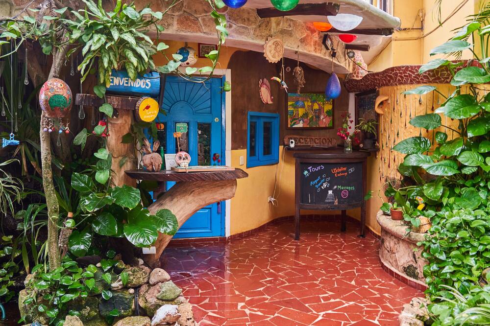 Maison Tulum 写真