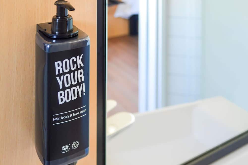 イビス パリ トゥール エッフェル カンブロンヌ 15区 写真