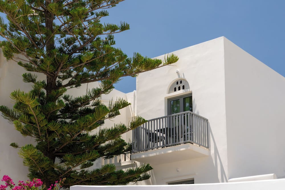 Mr. and Mrs. White Tinos 写真