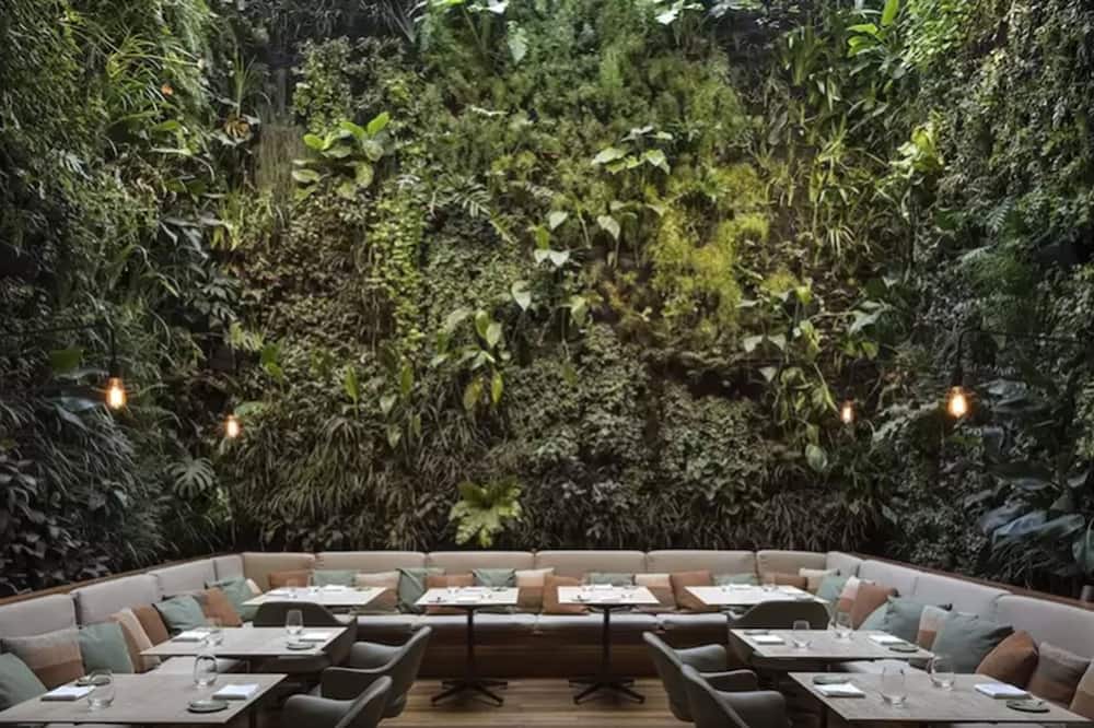 Emiliano Rio 写真