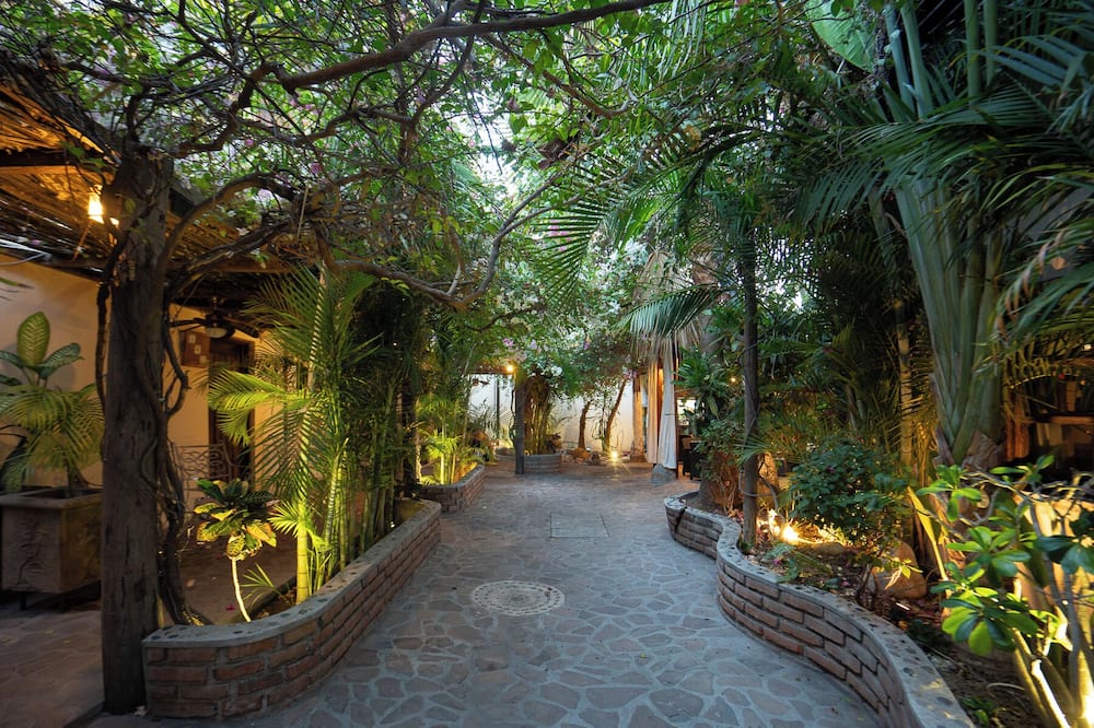 Posada de las Flores La Paz 写真