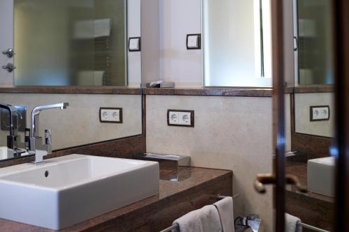 ゴルデナー・カルプフェン (金鯉亭) 写真