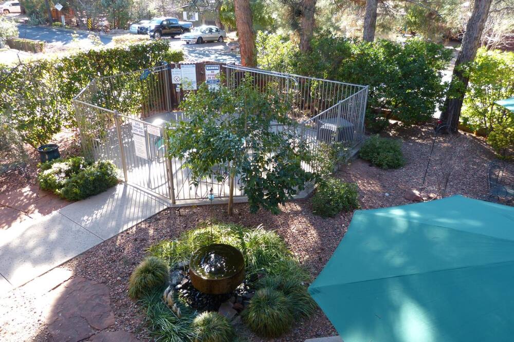 ベイビー クエイル イン 写真