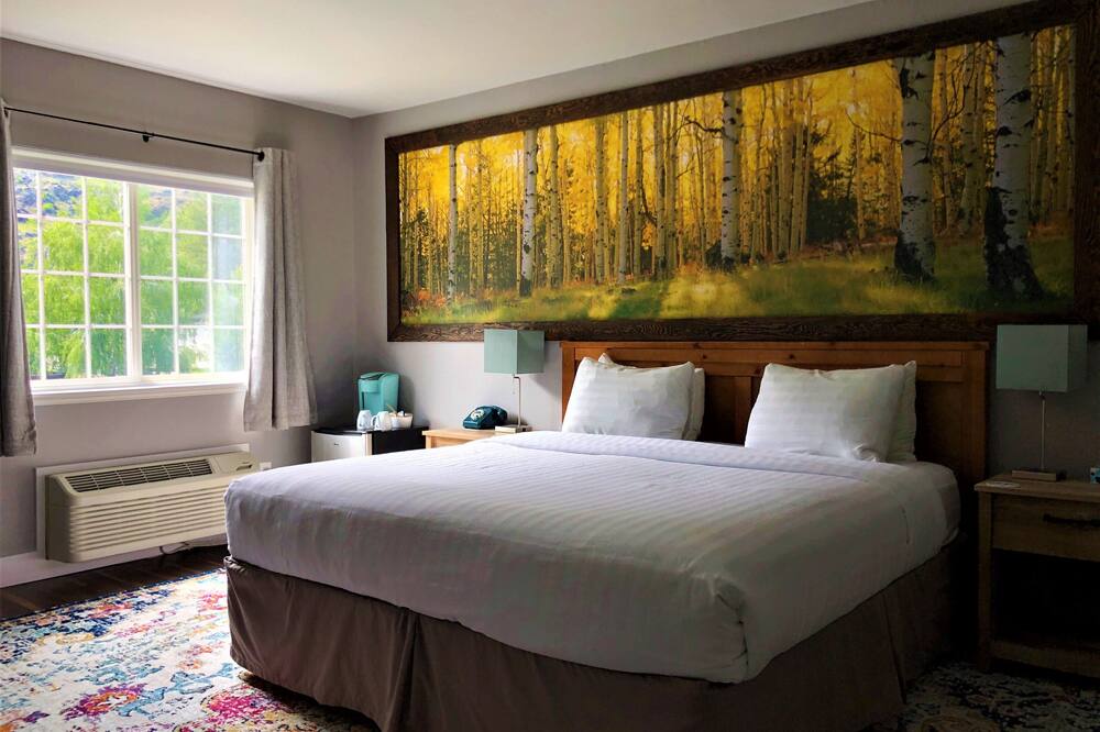 ブルー エルク イン 写真