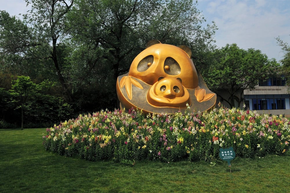 ホリデイ イン チェンドゥ オリエンタル プラザ バイ IHG 写真