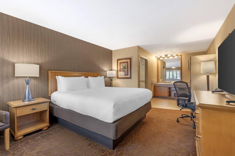 ベストウェスタン プラス パビリオンズ 写真