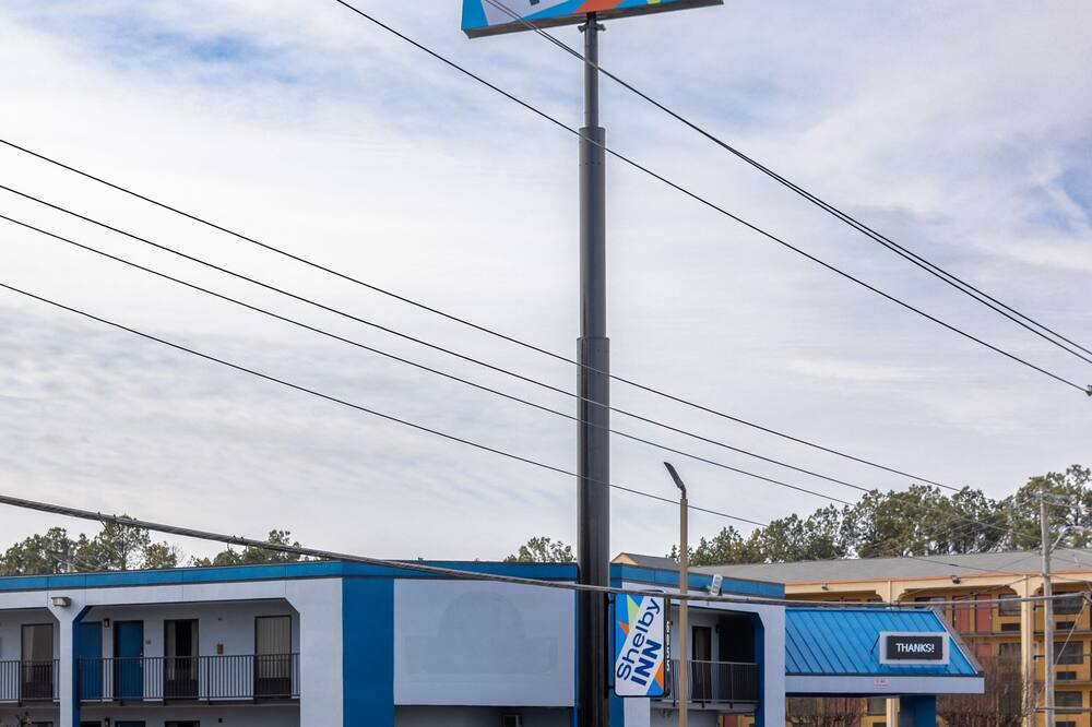 シェルビー イン 写真