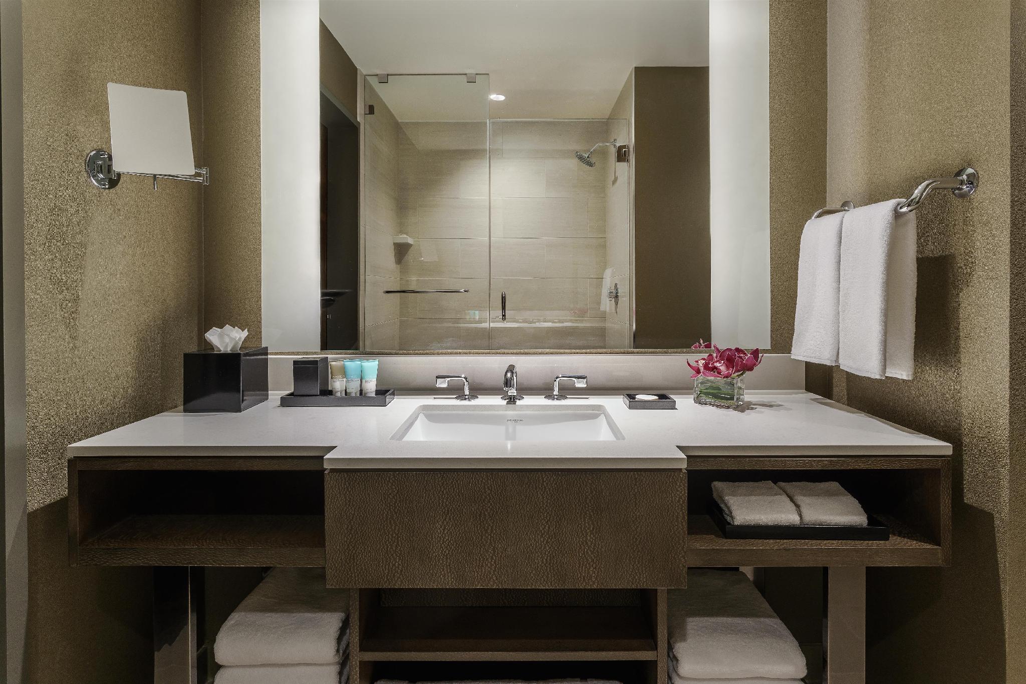 Hyatt Regency Tysons Corner Center 写真
