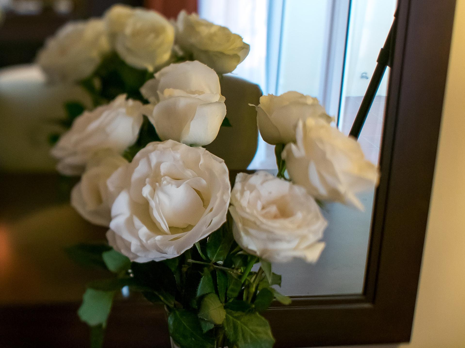 Muong Thanh Holiday Hue Hotel 写真