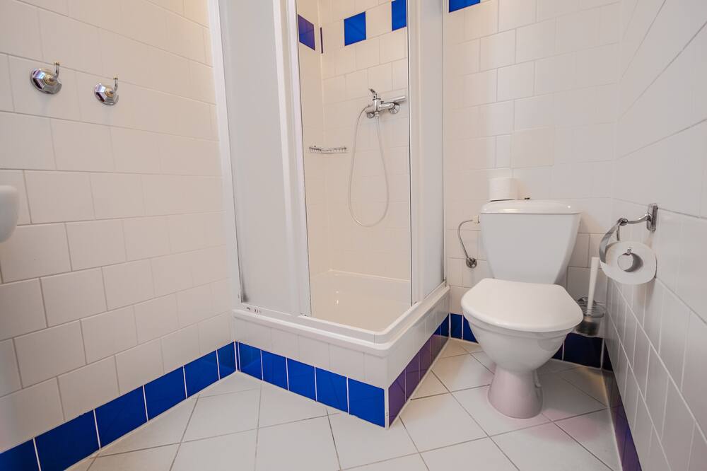 ブレジナ ペンション 写真