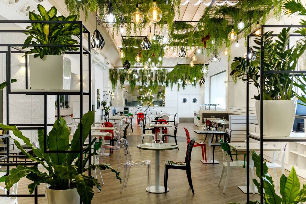 クレメント バラハス 写真