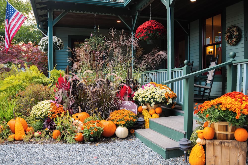 プリムローズ イン 写真