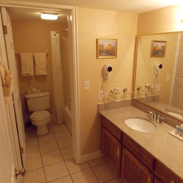 ザ キンボール 写真