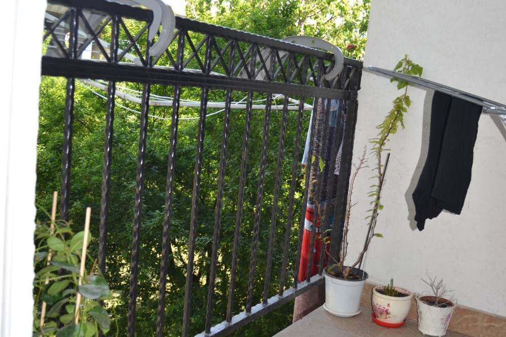 ホステル バレンティン 2 写真