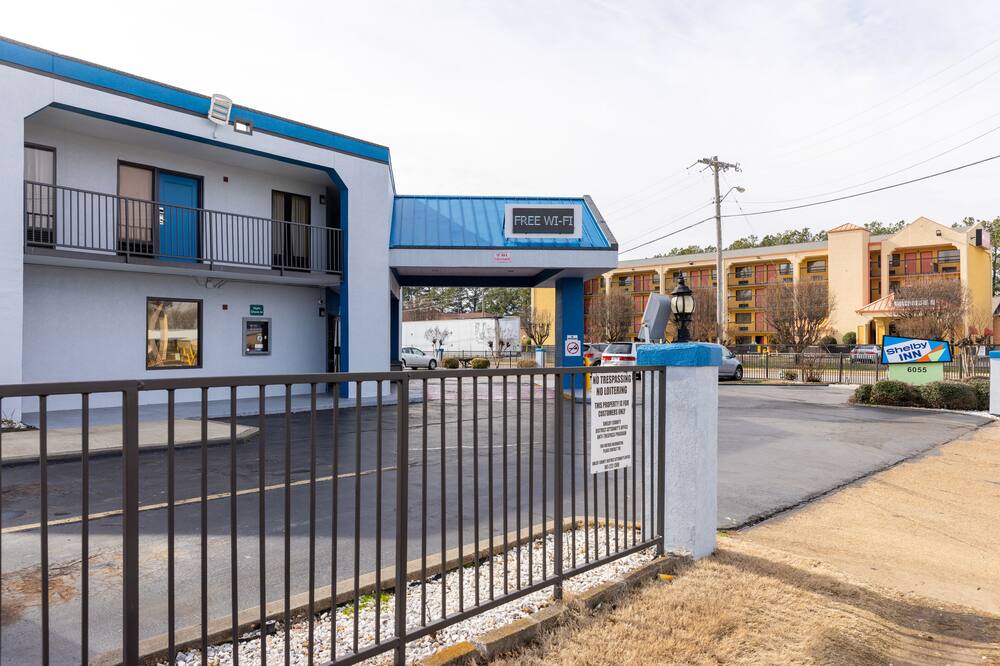 シェルビー イン 写真