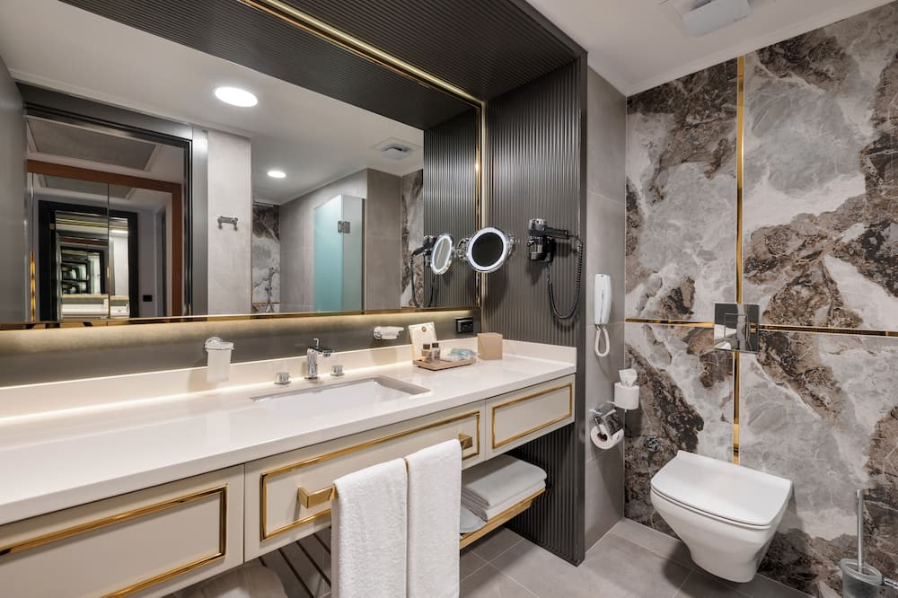 Limak Ambassadore - Special Class 写真