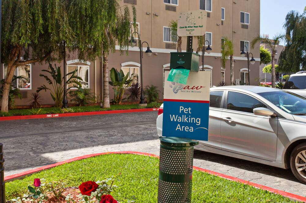 キャンドルウッド スイーツ LAX ホーソーン by IHG 写真