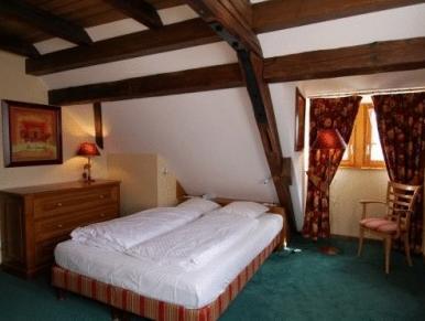 オステレリ シュエンディ 写真