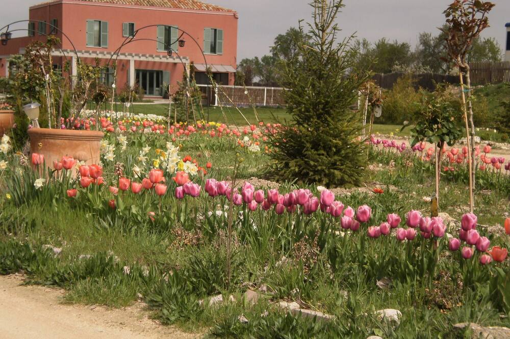 ルスティカエ サンタ コロマ デル カミノ ホテル 写真