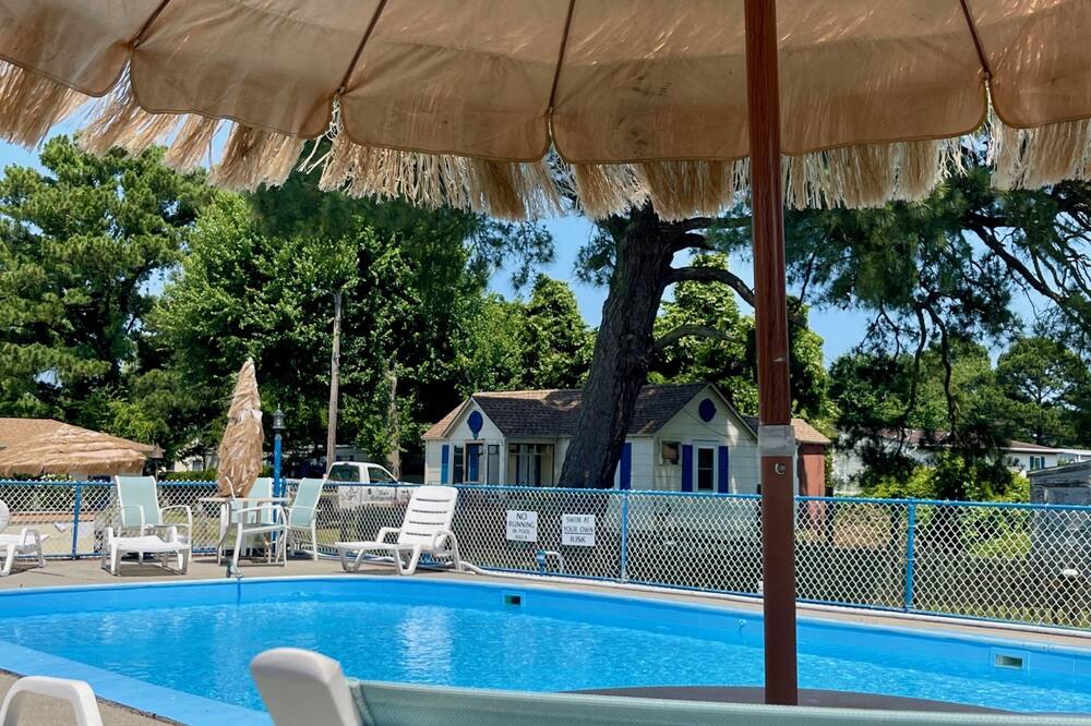 マドックス イン 写真