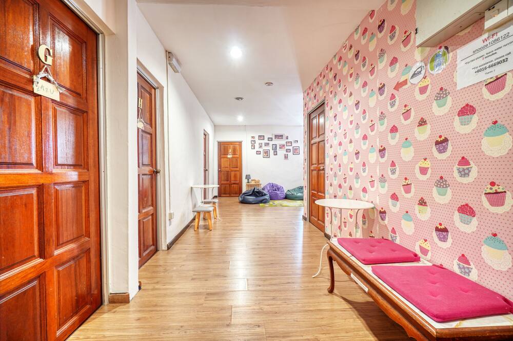 スヌーズ カメロン ハイランズ 写真