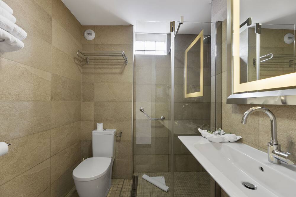 ナポレオン 写真